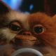 Gizmo is glad he retained character rights to himself